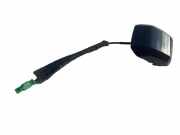 Antenne Dach Audi A4 (8W, B9)