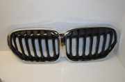 Kühlergrill oben BMW X1 (F48) 185178