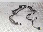Kabel Tür Renault Megane III Grandtour (KZ) 241241649R