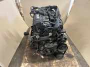 Motor ohne Anbauteile (Benzin) Mini Mini Cabriolet (R52) W10B16A