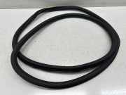 Dichtungsgummi der hinteren Tür (an der Karosserie) VW GOLF SPORTSVAN (AM1) 1.5 TSI