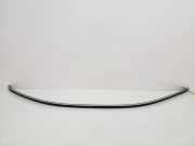 Dachleiste links MERCEDES-BENZ CLK (C209) 270 CDI (209.316) A2096900139 A2096900139