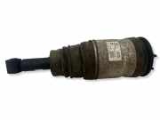 Fahrgestellteile hinten LAND ROVER DISCOVERY III (L319) 2.7 TD 4x4 RPD000308