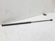 Gasfeder für Motorhaube Opel Vectra C (Z02) 244544730512