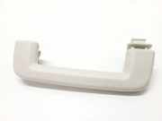 Griff Panoramadach Ford Focus III Turnier (DYB)