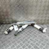 Dach SRS rechts TESLA MODEL X P100D AWD 1036760-00-H