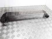 Ladeluftkühler FORD GALAXY III (CK) 2.0 TDCi 7M3145805