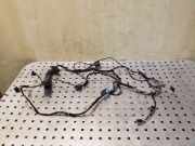 Kabel Tür BMW X5 (E70) 9116974