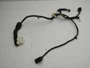 Kabel Tür Opel Antara (L07) 20980139
