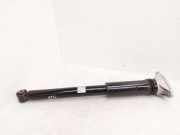 Stoßdämpfer hinten links BMW iX1 (U11 BEV) xDrive 30 5A28A89
