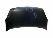 Motorhaube PEUGEOT PARTNER TEPEE 1.6 HDi 90