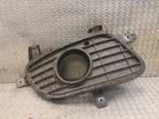 Gitter Grill vorne rechts MERCEDES-BENZ A (W169) A 180 CDI (169.007, 169.307) A1698850622 1698850622