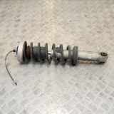 Stoßdämpfer hinten links BMW 6 (E63) M 2283067