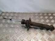 Stoßdämpfer hinten links NISSAN ALMERA TINO (V10) 2.2 dCi