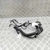 Türverkabelung hinten links MERCEDES-BENZ EQA(H243) 250+ (243.702) A2475409509
