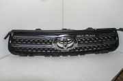 Vorderer oberer Gitter TOYOTA RAV 4 III (_A3_) 2.2 D 4WD (ALA30_) 5310142190
