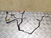 Kabel Tür Seat Exeo ST (3R) 3R0971693A