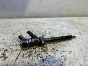Einspritzdüse PEUGEOT EXPERT Furgon (VF3A_, VF3U_, VF3X_) 2.0 HDi 165 0445110239
