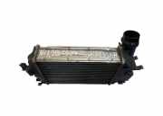 Ladeluftkühler RENAULT KADJAR (HA_, HL_) 1.2 TCe 130 144614EA1A