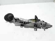 Gelenk für Lenkwelle Renault Laguna III (T) 488100003R