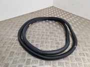 Türdichtungsgummi vorne links PEUGEOT 208 1.2