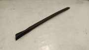 Zierleiste Windschutzscheibe Frontscheibe BMW F40 F40) 116 d 7453950