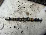 Nockenwelle OPEL ASTRA G Estate (F35_) 2.0 DTI 16V 9242003