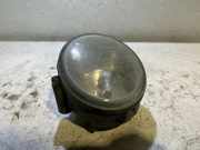 Nebelscheinwerfer vorne rechts RENAULT SCÉNIC I (JA0/1_) 1.9 dTi (JA1U) 100210M