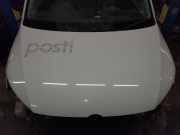 Motorhaube VW Caddy III Kasten (2KA)