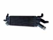 Ladeluftkühler PEUGEOT 4007 (GP_) 2.2 HDi