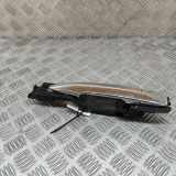 Türaußengriff hinten links NISSAN LEAF (ZE1) Electric 806113NK1A