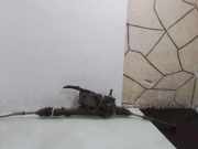 Lenksäule VW FOX (5Z1, 5Z3) 1.4 TDI 6820000095B