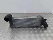 Ladeluftkühler Citroen C8 (E) 1489396080
