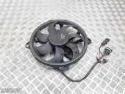 Elektrolüfter Citroen C5 II Break (RE) 9683614680