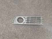 Gitter vorne unten AUDI A4 Cabrio (8H7, B6, 8HE, B7) 2.0 8E0807681