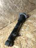 Stoßdämpfer hinten links BMW X5 (E70) xDrive 30 d 14941510