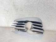 Gitter vorne unten OPEL SIGNUM 1.8 904000011