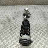 Stoßdämpfer vorne rechts AUDI Q5 (FY) 2.0 TDI 80A413031AG