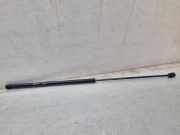 Gasfeder für Motorhaube VW Passat B5.5 (3B3) 4B0823359C