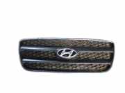 Kühlergrill komplett Hyundai Santa Fe II (CM)