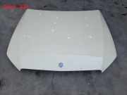 Motorhaube MERCEDES-BENZ E (W213) E 220 d (213.004) 2138870203