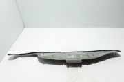 Grill Windlauf Mercedes-Benz Citan Kasten (W415) 668620451R