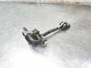 Türanschlag hinten links