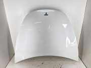 Motorhaube TESLA MODEL 3 EV 1081390E0C