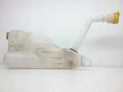 Fensterwaschtank RENAULT MEGANE III Coupe (DZ0/1_) 1.5 dCi (DZ0B) 289100014R