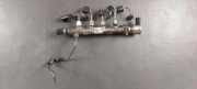 KRAFTSTOFFVERTEILER EINSPRITZLEISTE VERTEILERROHR SKODA OCTAVIA IV Combi 2.0 TDI 05L0890049567