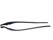 Zierleiste Windschutzscheibe Frontscheibe VOLVO S60 II DRIVe / D2 31335865