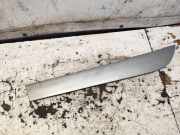 Türverkleidung links hinten Audi A6 (4F, C6) 4F0853960E