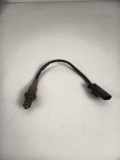 Sauerstoffsensor (Lambdasensor) BMW 4 Gran Coupe (F36) 420 d 857023001