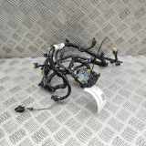 Kabelbaum Hinteren Parksensoren LAND ROVER RANGE ROVER SPORT II (L494) 4.4 HSE V8 4x4 KK62-15B484-DC